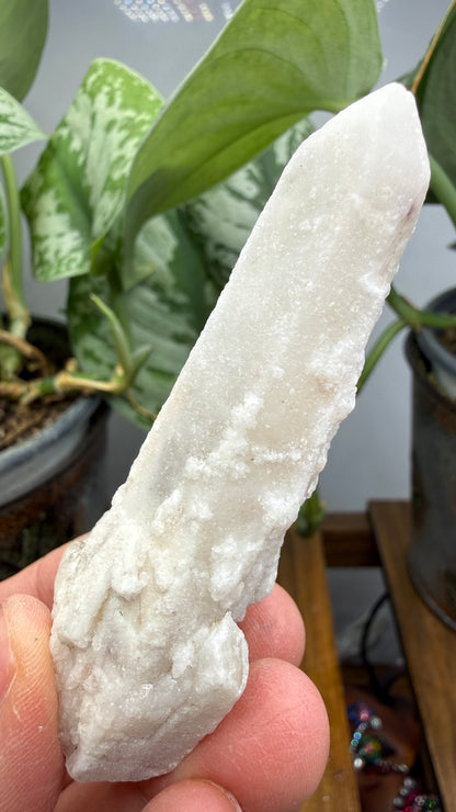 Witch’s Finger Druzy Quartz (White Cactus Quartz)- Boekenhouthoek, South Africa