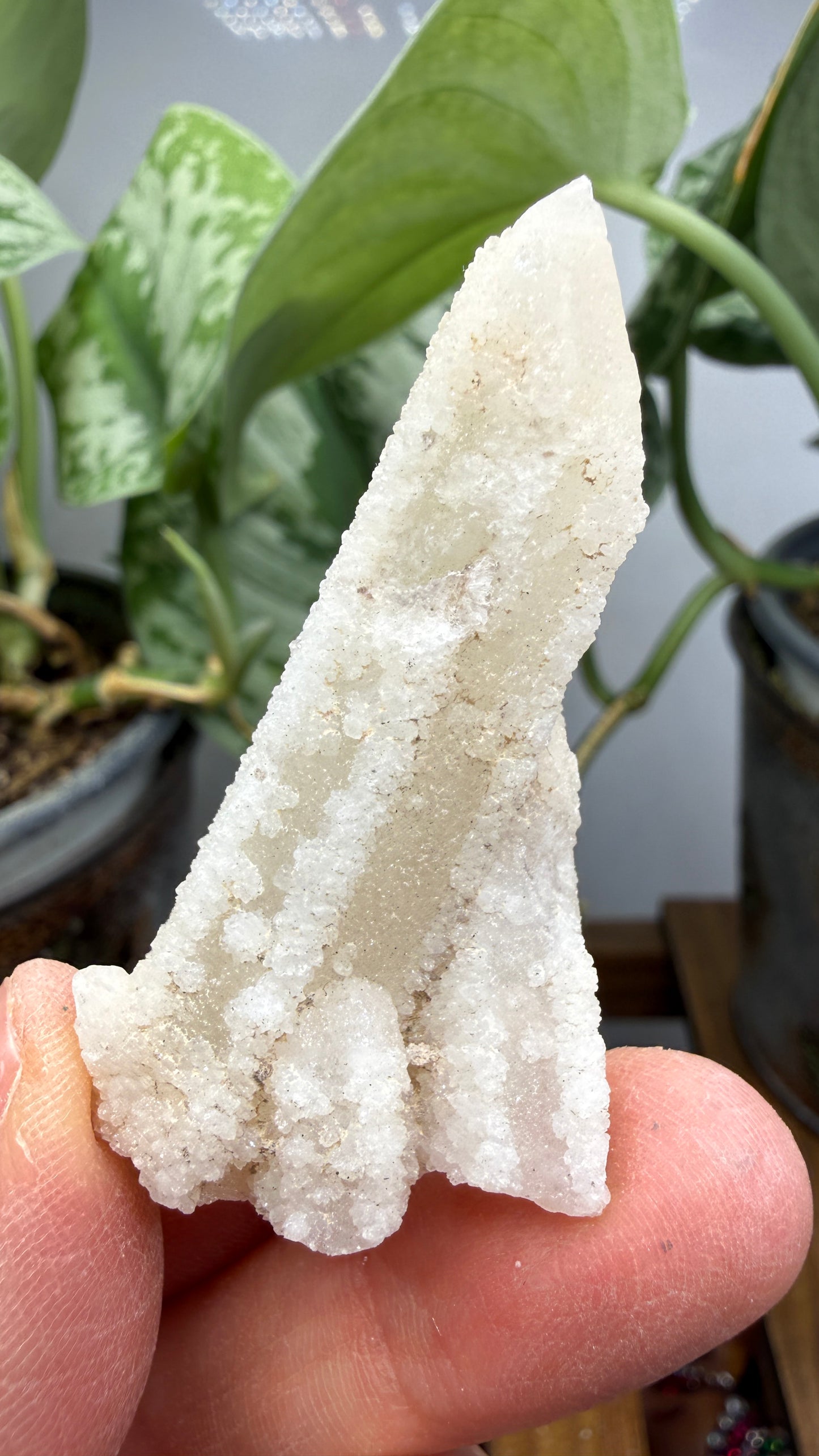 Witch’s Finger Druzy Quartz (White Cactus Quartz)- Boekenhouthoek, South Africa