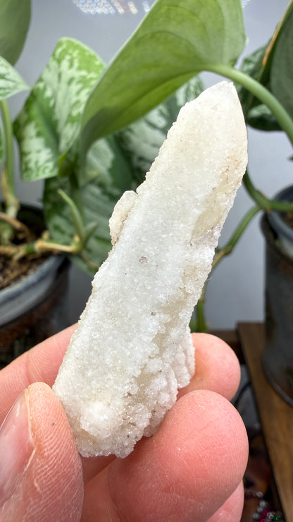 Witch’s Finger Druzy Quartz (White Cactus Quartz)- Boekenhouthoek, South Africa