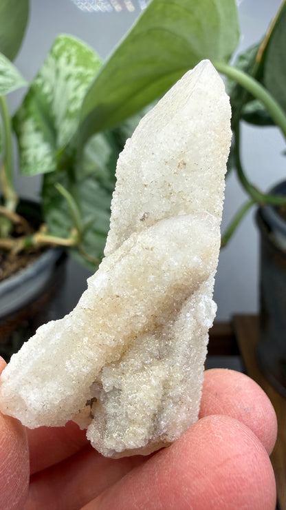 Witch’s Finger Druzy Quartz (White Cactus Quartz)- Boekenhouthoek, South Africa
