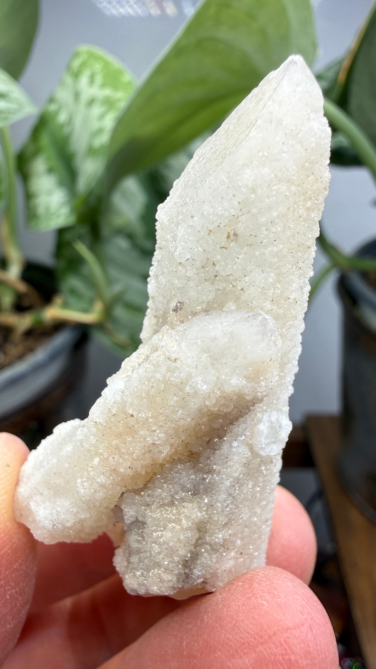 Witch’s Finger Druzy Quartz (White Cactus Quartz)- Boekenhouthoek, South Africa