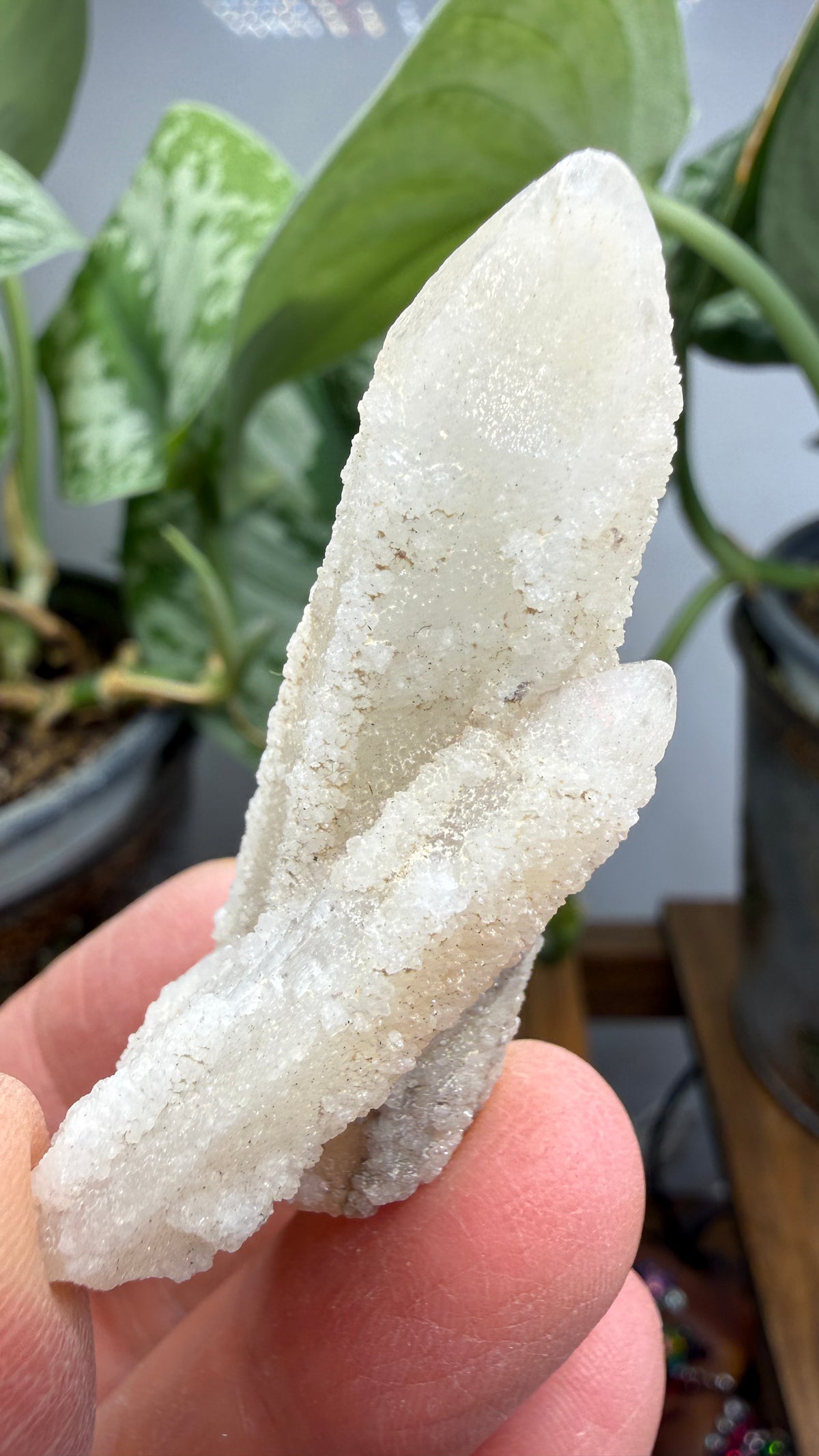 Witch’s Finger Druzy Quartz (White Cactus Quartz)- Boekenhouthoek, South Africa