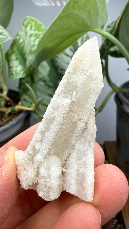 Witch’s Finger Druzy Quartz (White Cactus Quartz)- Boekenhouthoek, South Africa