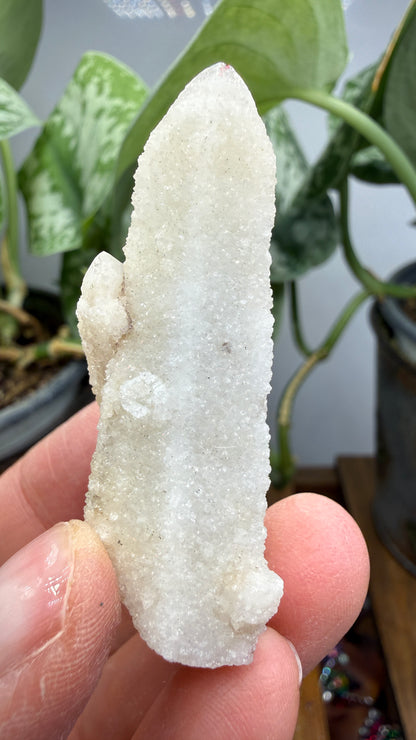 Witch’s Finger Druzy Quartz (White Cactus Quartz)- Boekenhouthoek, South Africa