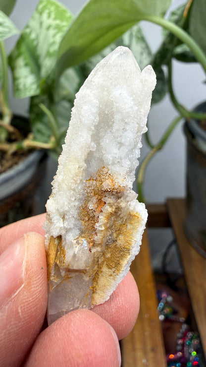 Witch’s Finger Druzy Quartz (White Cactus Quartz)- Boekenhouthoek, South Africa