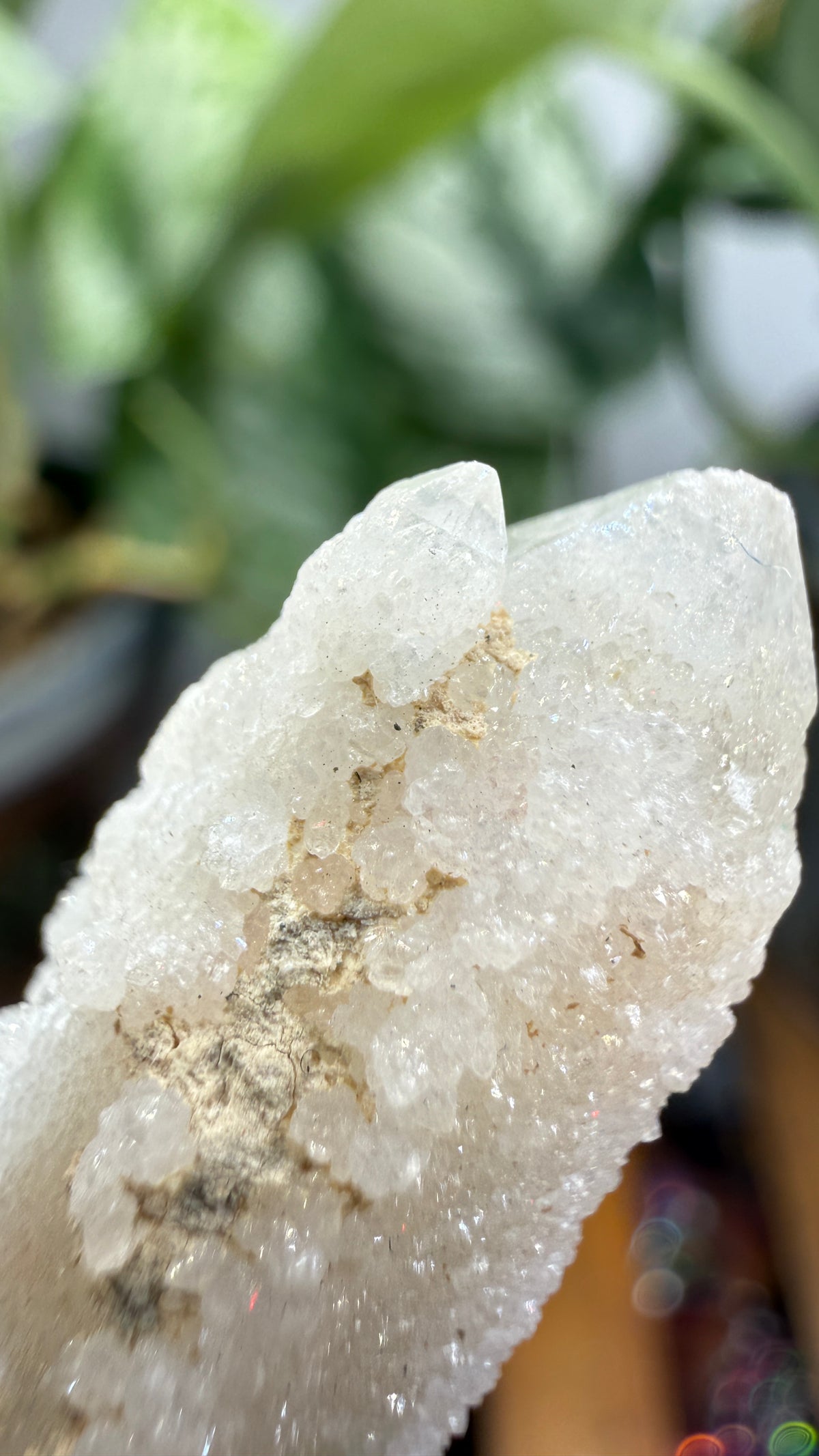 Witch’s Finger Druzy Quartz (White Cactus Quartz)- Boekenhouthoek, South Africa