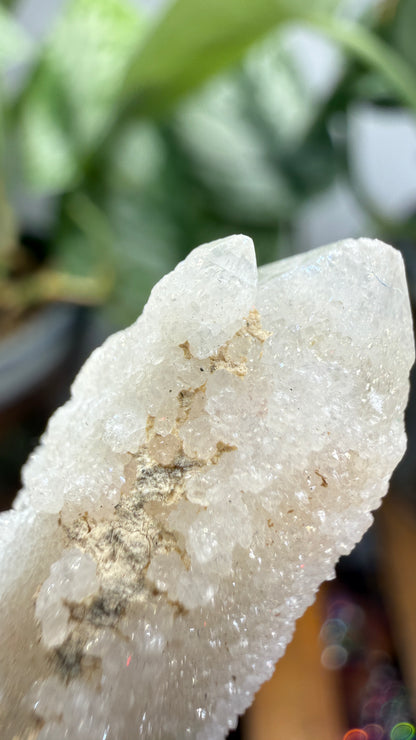 Witch’s Finger Druzy Quartz (White Cactus Quartz)- Boekenhouthoek, South Africa