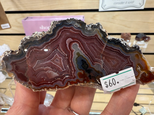 Laguna Agate- Estacion Ojo Laguna, Ahumada Municipality, Chihuahua, Mexico