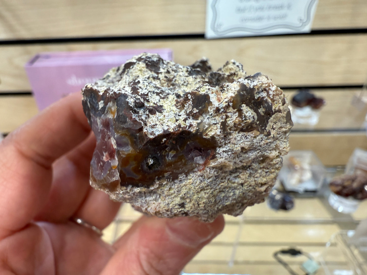 Laguna Agate- Estacion Ojo Laguna, Ahumada Municipality, Chihuahua, Mexico