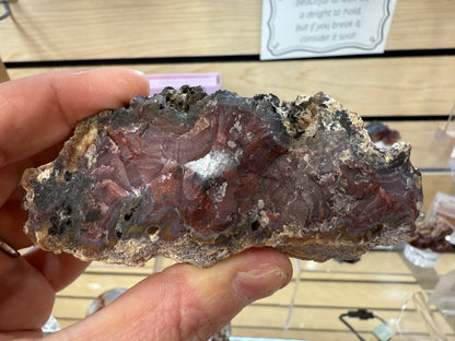 Laguna Agate- Estacion Ojo Laguna, Ahumada Municipality, Chihuahua, Mexico