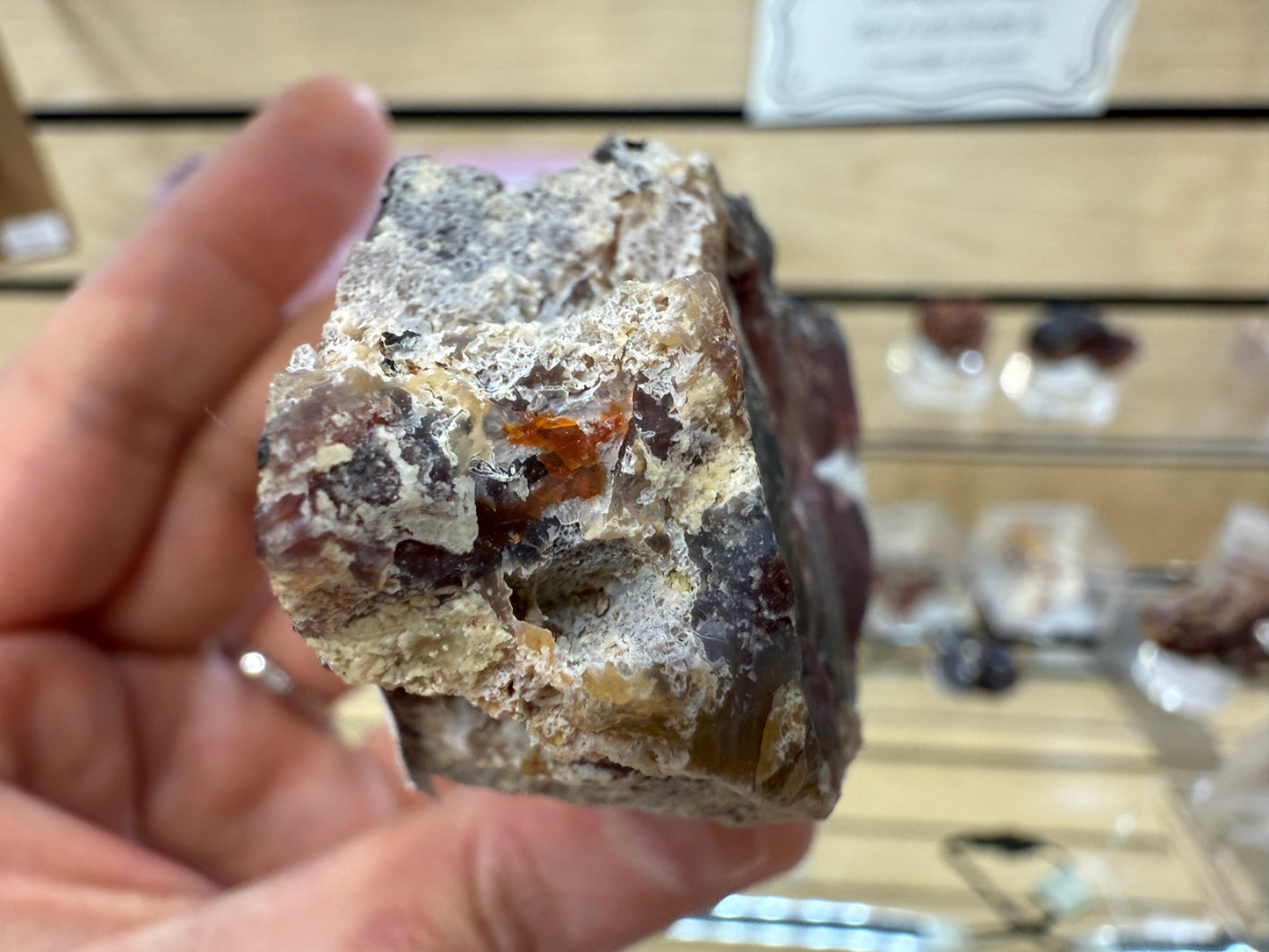 Laguna Agate- Estacion Ojo Laguna, Ahumada Municipality, Chihuahua, Mexico