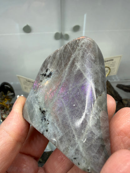 Labradorite Freeform with Purple & Pink Flash- 2.5" inches