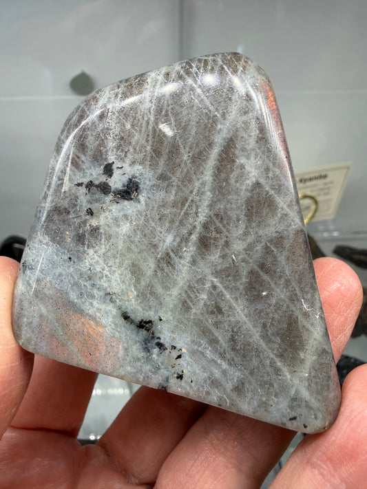 Labradorite Freeform with Purple & Pink Flash- 2.5" inches