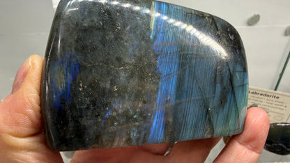 Labradorite Freeform with Blue Flash- 4.2" inches