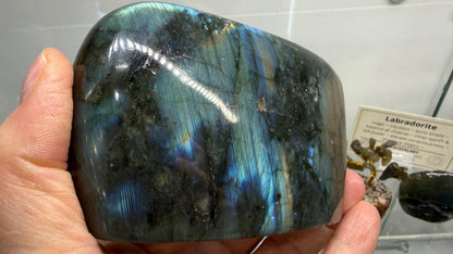Labradorite Freeform with Blue Flash- 4.2" inches