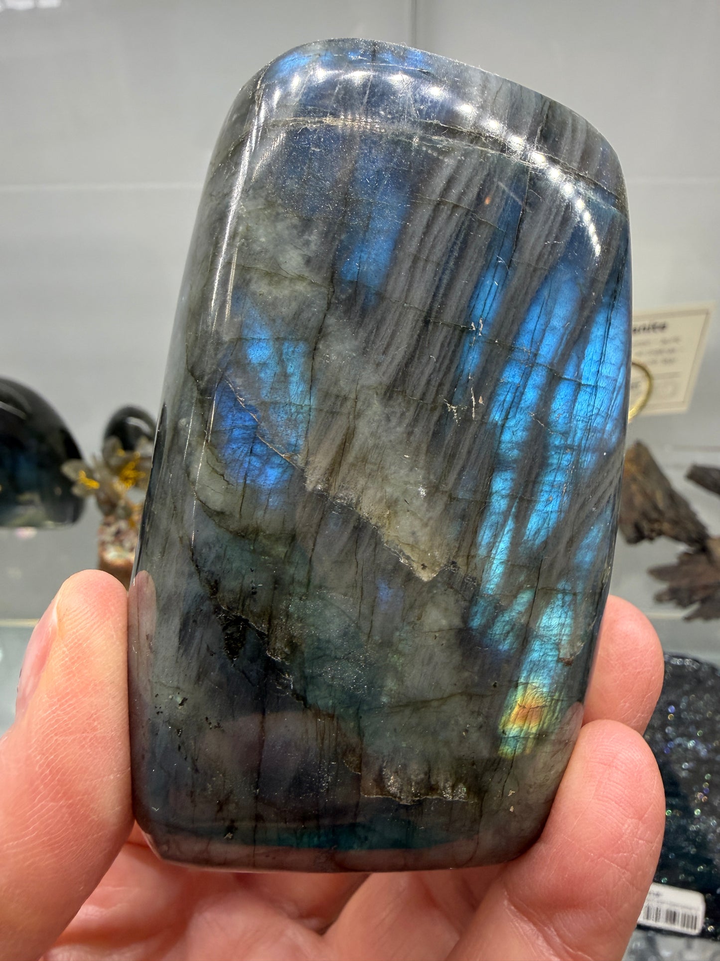 Labradorite Freeform with Blue Flash- 3.4" inches