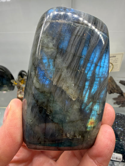 Labradorite Freeform with Blue Flash- 3.4" inches