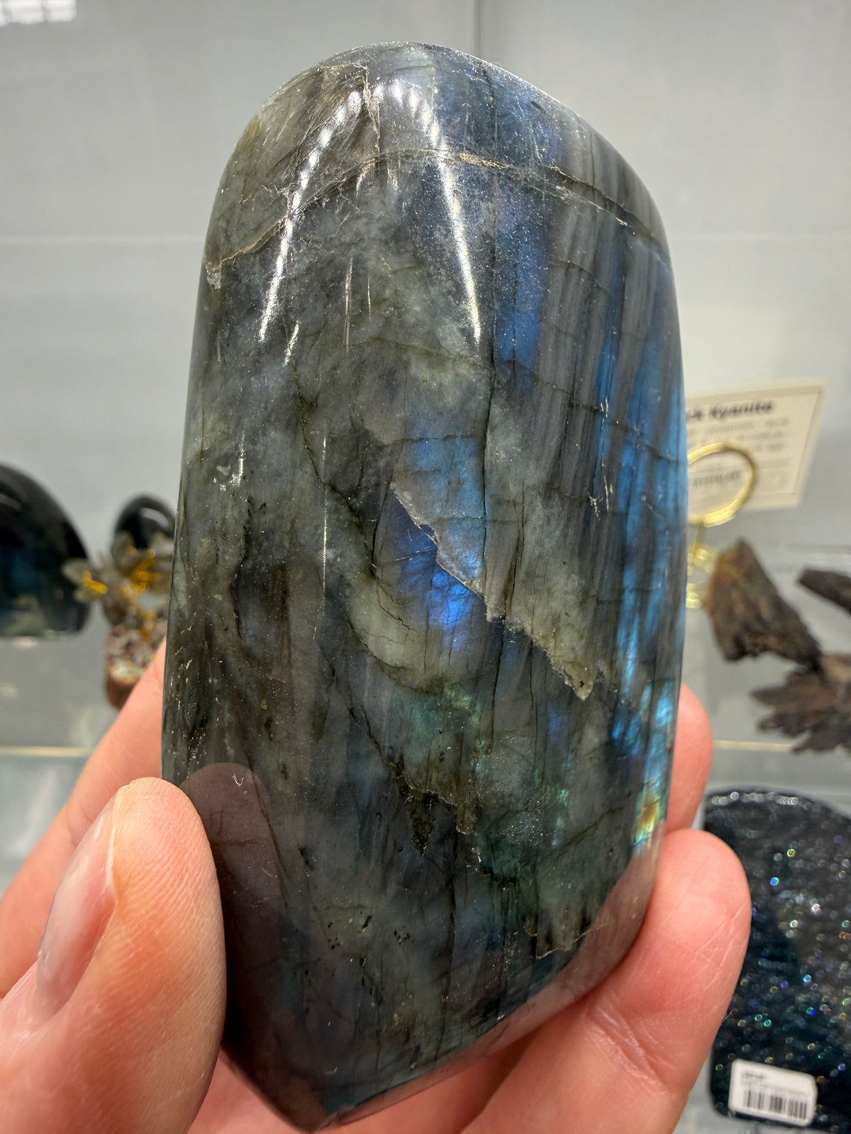 Labradorite Freeform with Blue Flash- 3.4" inches