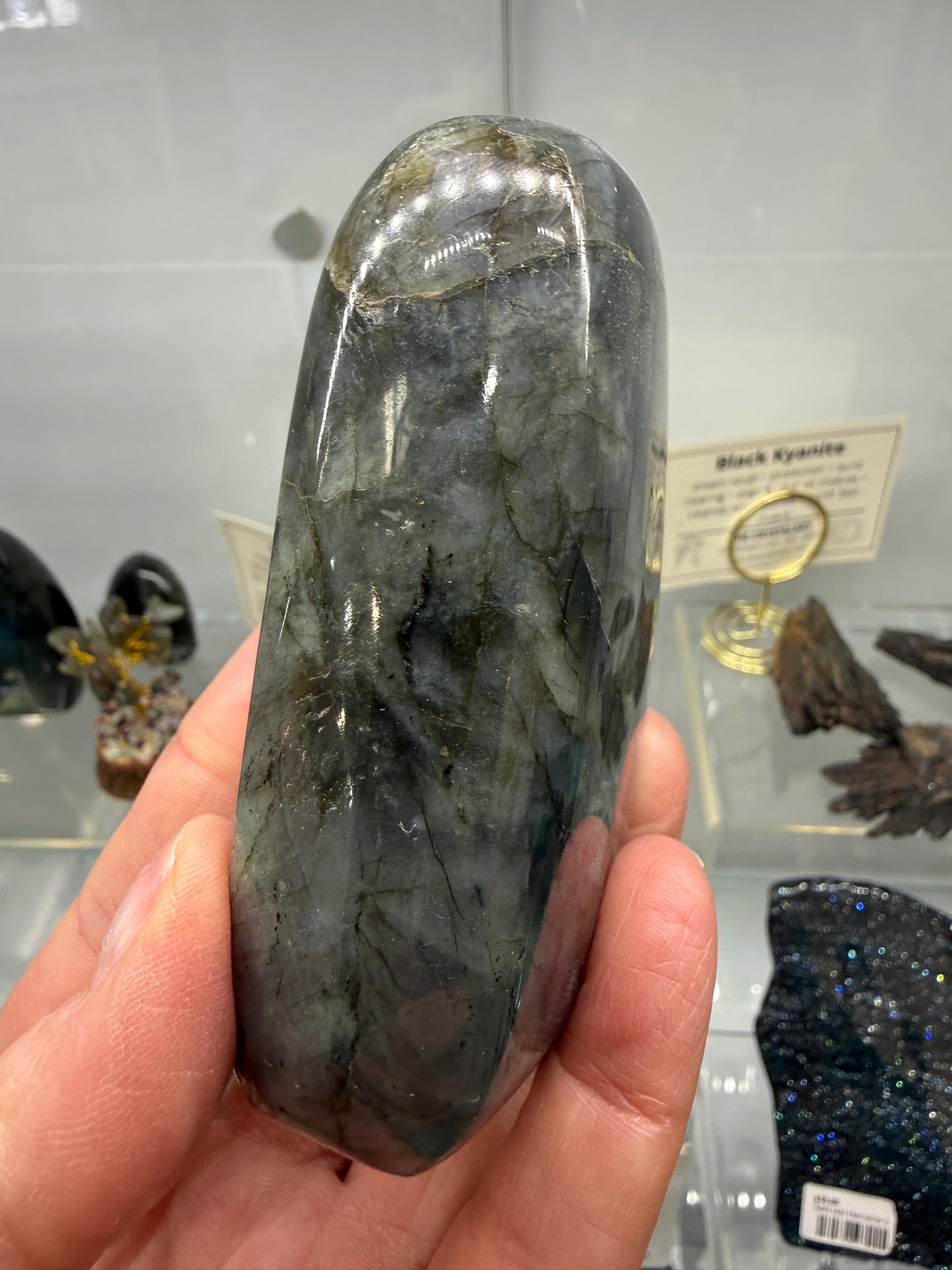 Labradorite Freeform with Blue Flash- 3.4" inches