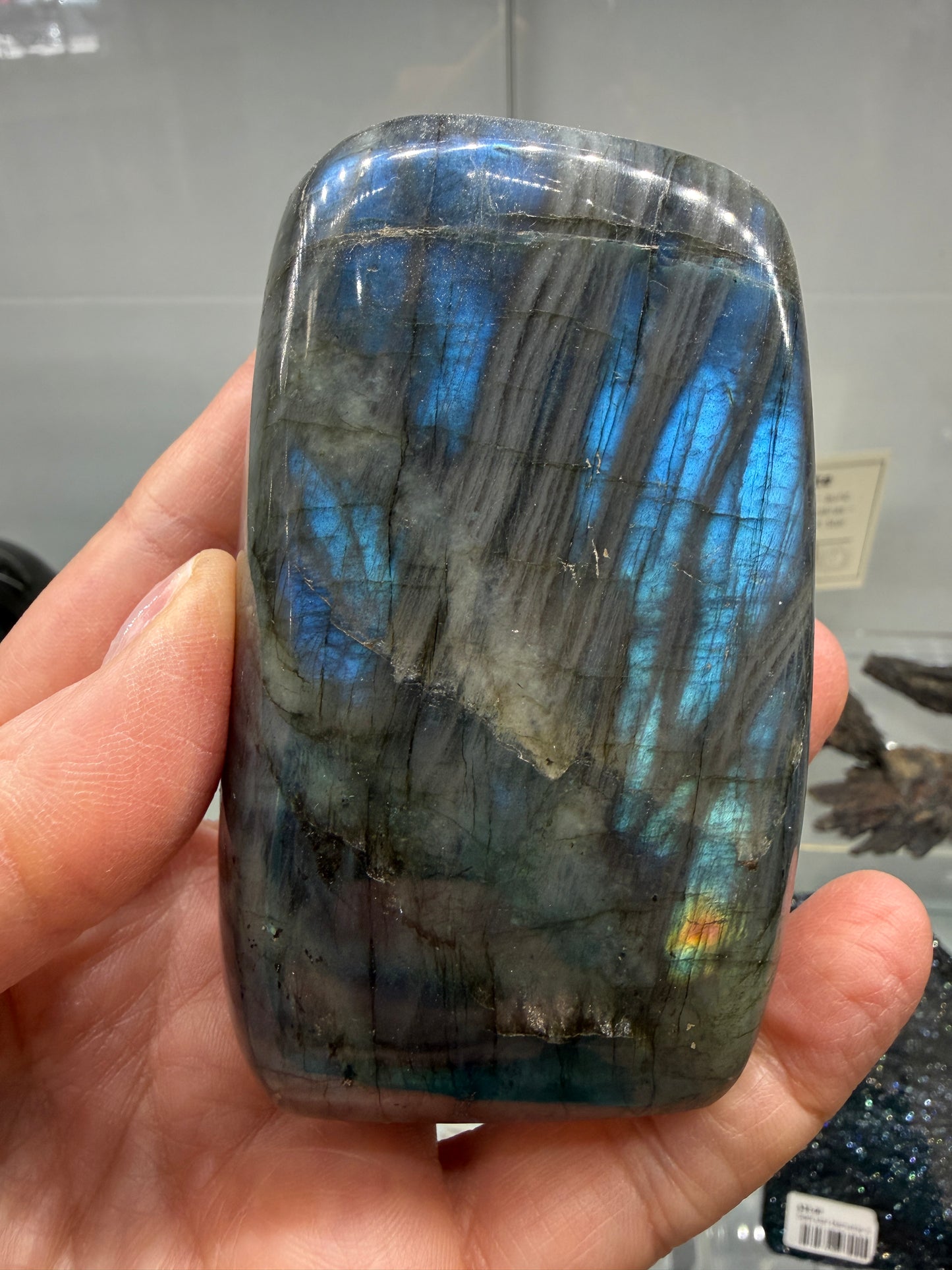 Labradorite Freeform with Blue Flash- 3.4" inches