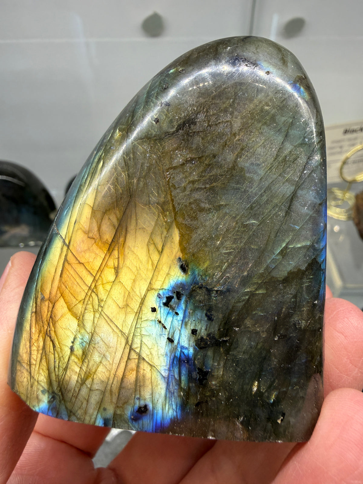 Labradorite Freeform with Blue & Yellow Flash- 2.7" inches