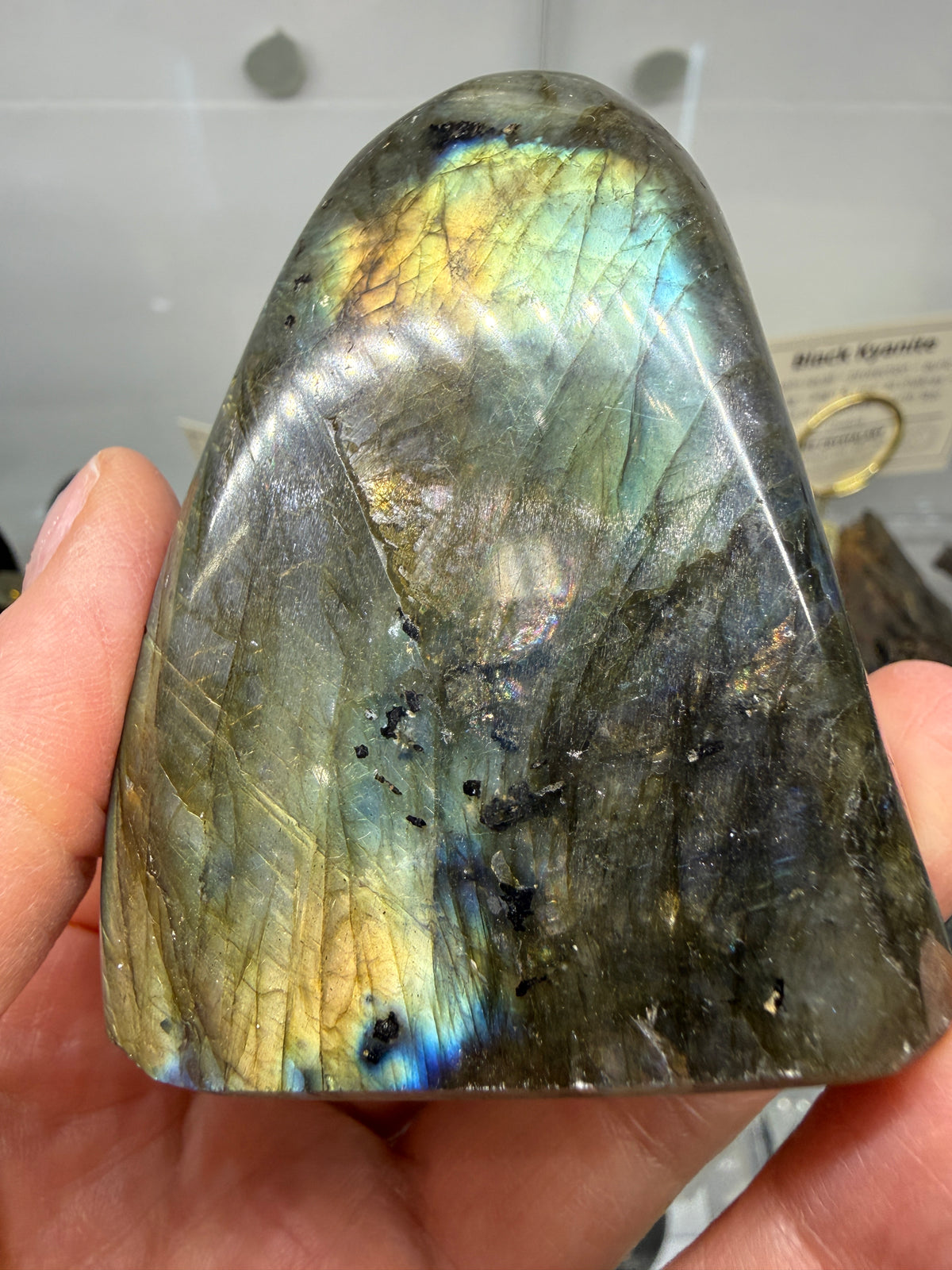 Labradorite Freeform with Blue & Yellow Flash- 2.7" inches