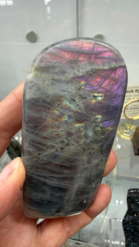 Labradorite Freeform with Rainbow Flash- 3.7" inches