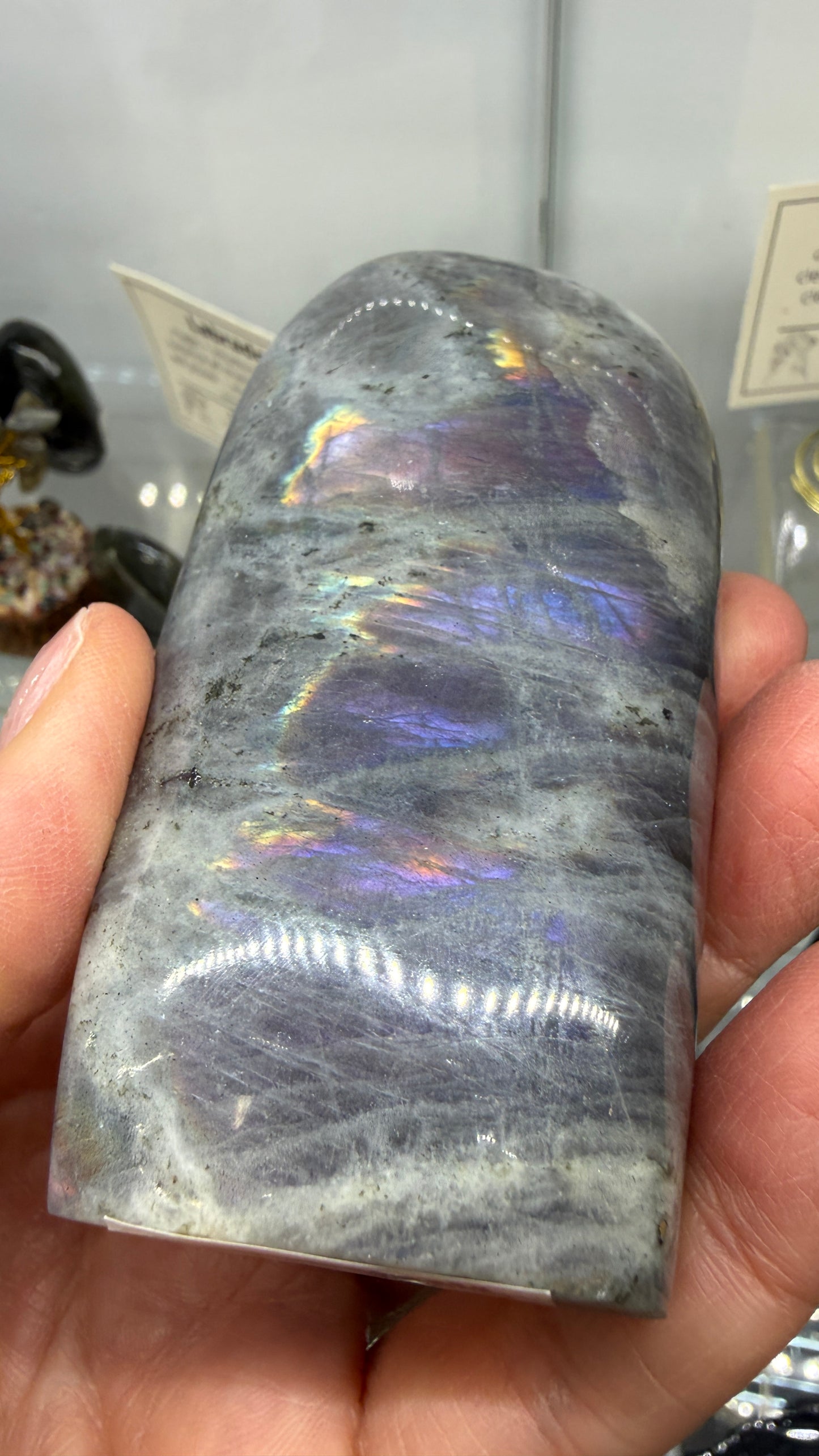 Labradorite Freeform with Rainbow Flash- 3.7" inches