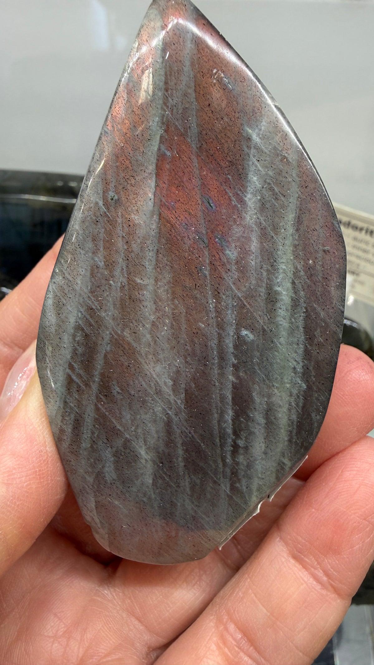 Labradorite Freeform with Rainbow Flash- 3.3" inches