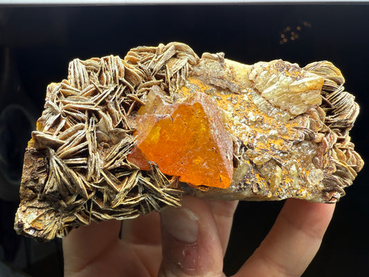 Scheelite, Quartz, Mica- Pingwu mine, Mount Little Xuebaoding, Sichuan, China