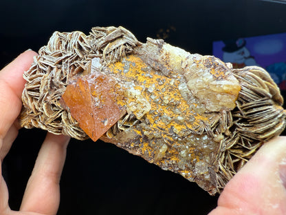 Scheelite, Quartz, Mica- Pingwu mine, Mount Little Xuebaoding, Sichuan, China