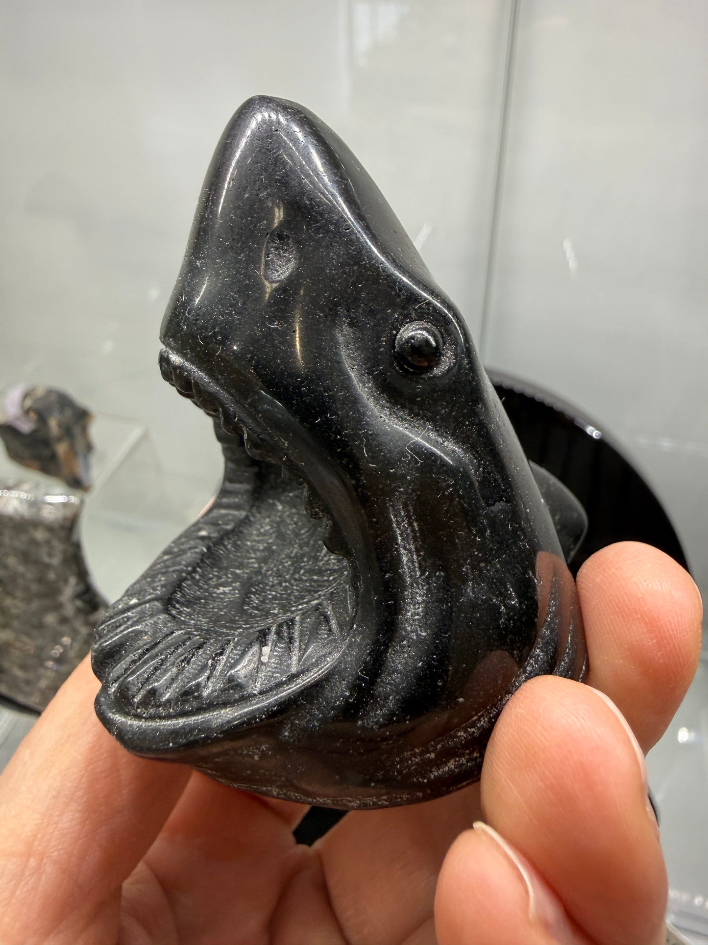 Obsidian Biting Shark- 2.6 inches