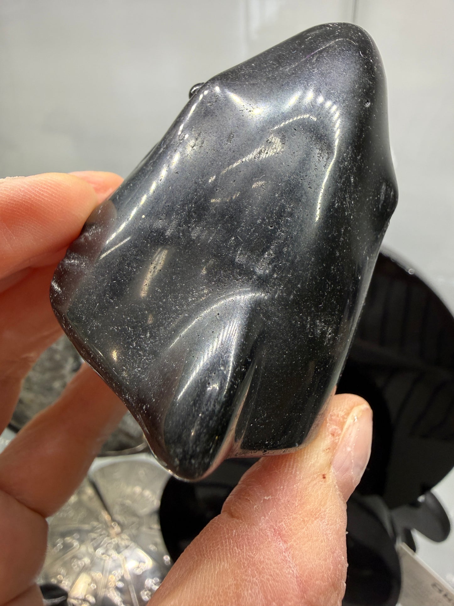 Obsidian Biting Shark- 2.6 inches