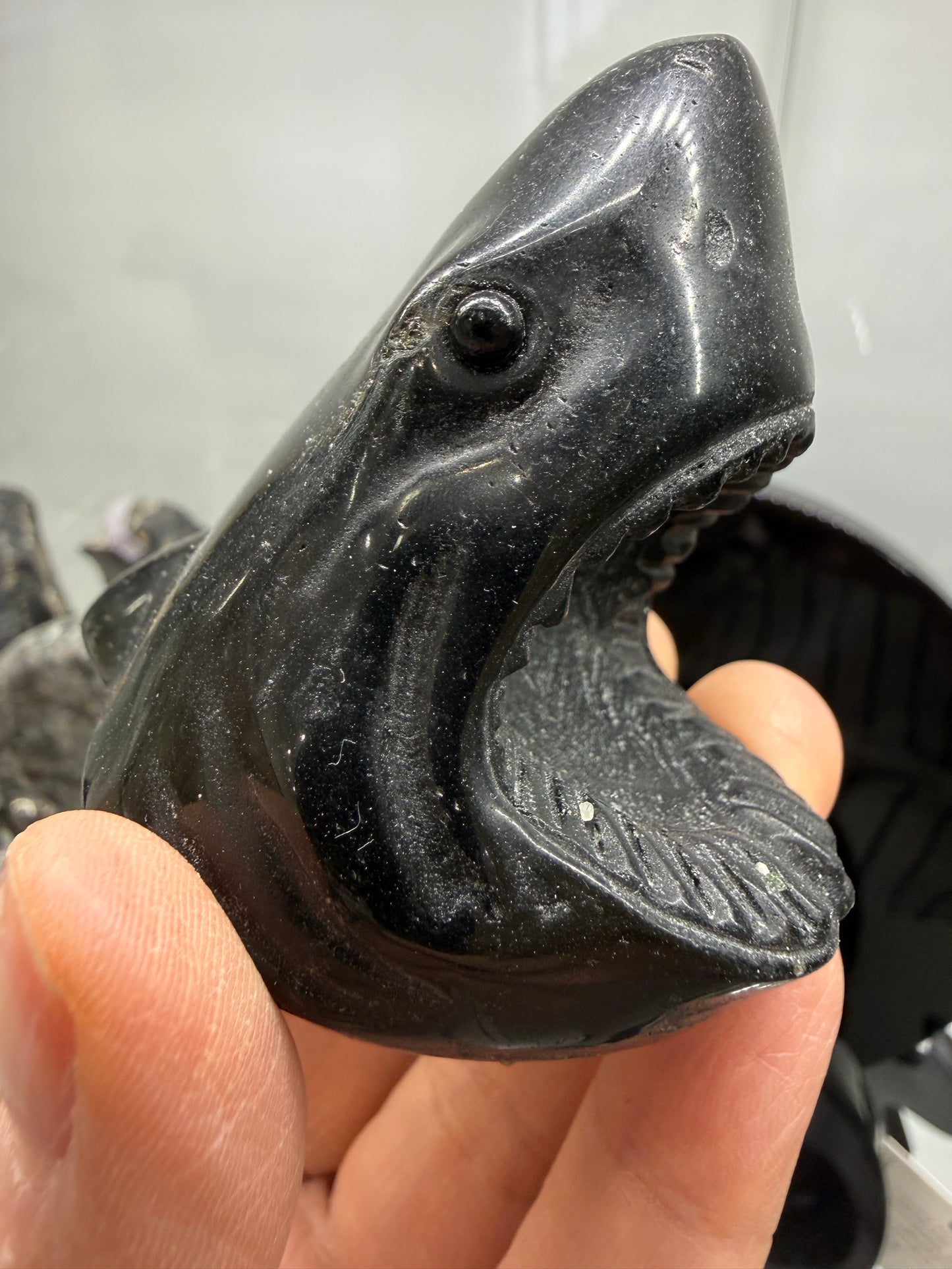 Obsidian Biting Shark- 2.6 inches
