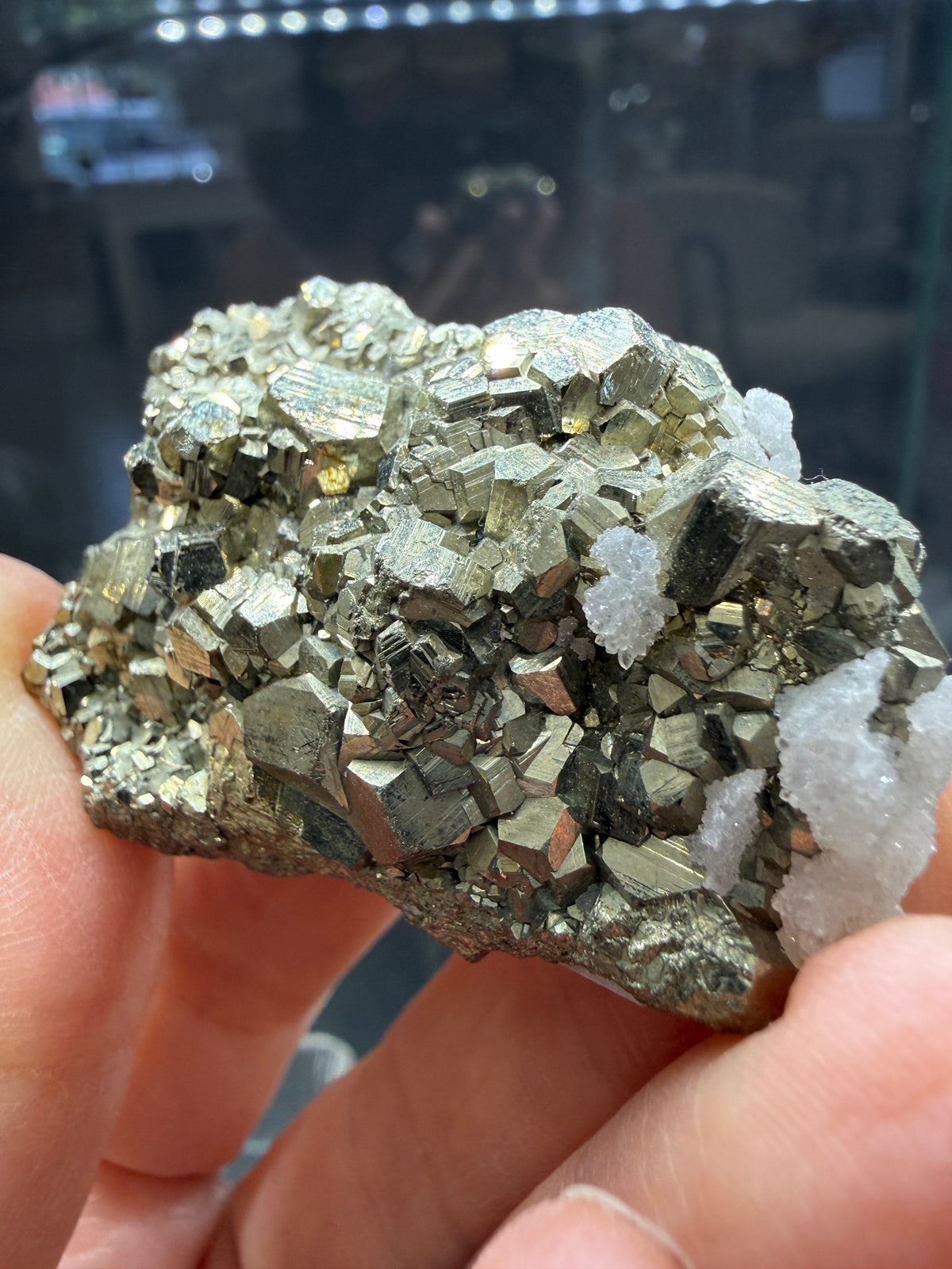 Pyrite, Quartz- Huanzala Mine, Huallanca District, Bolognesi Province, Ancash, Peru