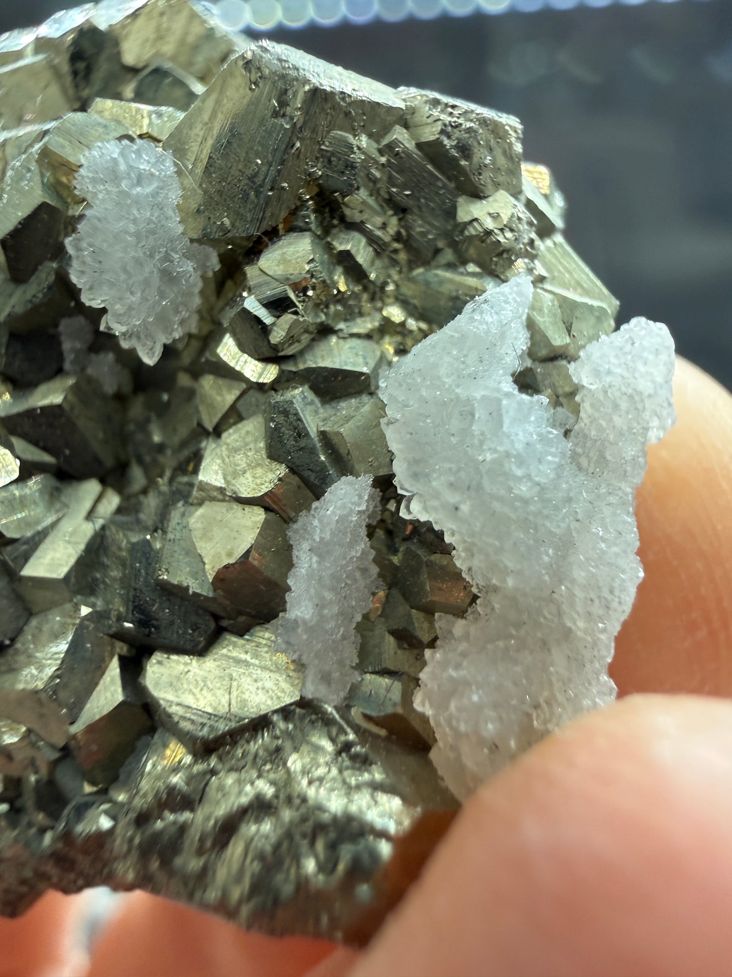 Pyrite, Quartz- Huanzala Mine, Huallanca District, Bolognesi Province, Ancash, Peru