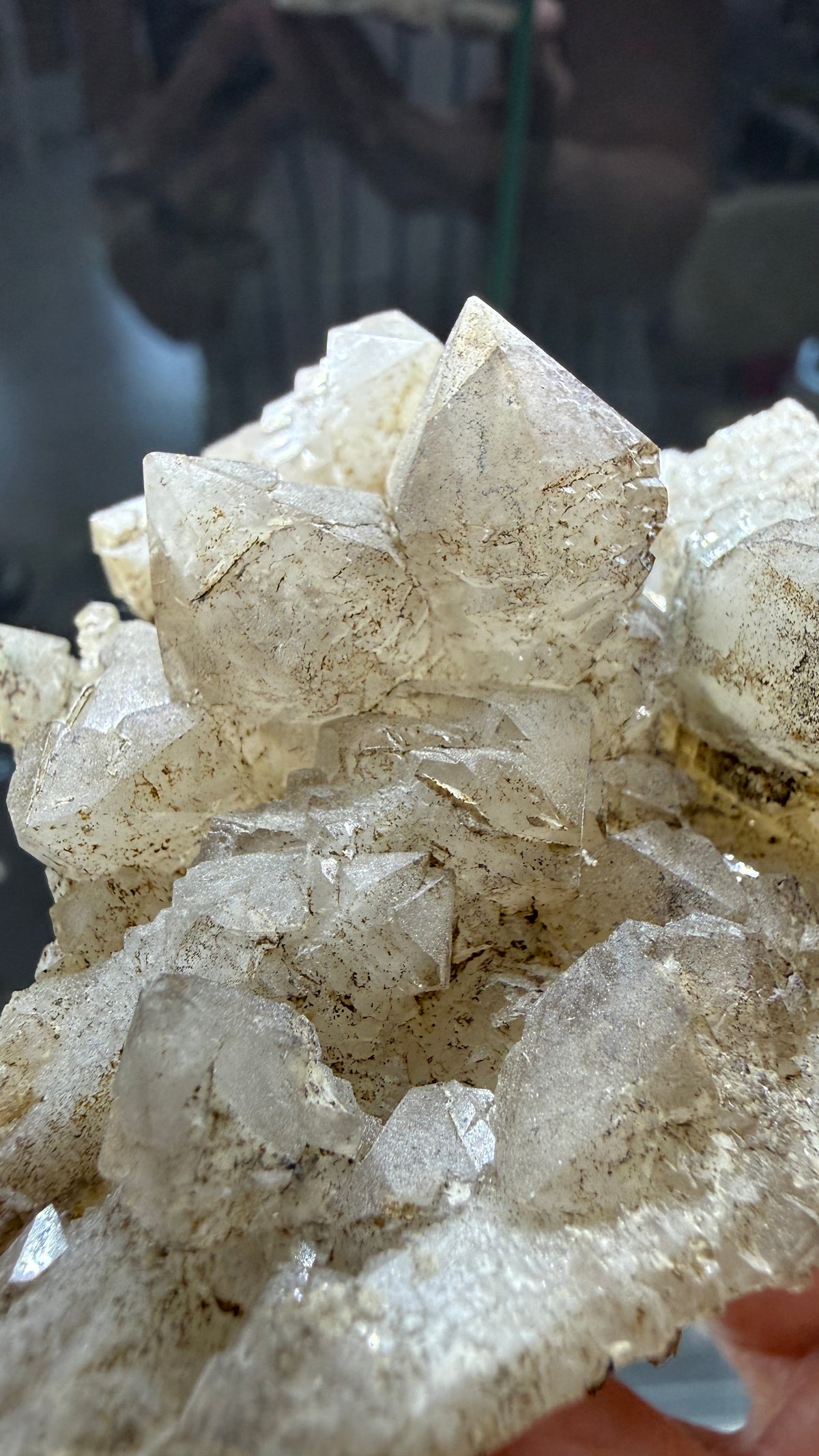 Cumberland Habit Quartz- Dalnegorsk, Primorsky Krai, Russia