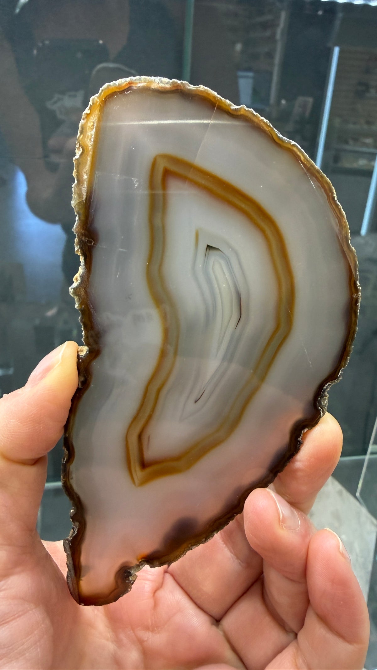 Agate Slice- Brazil