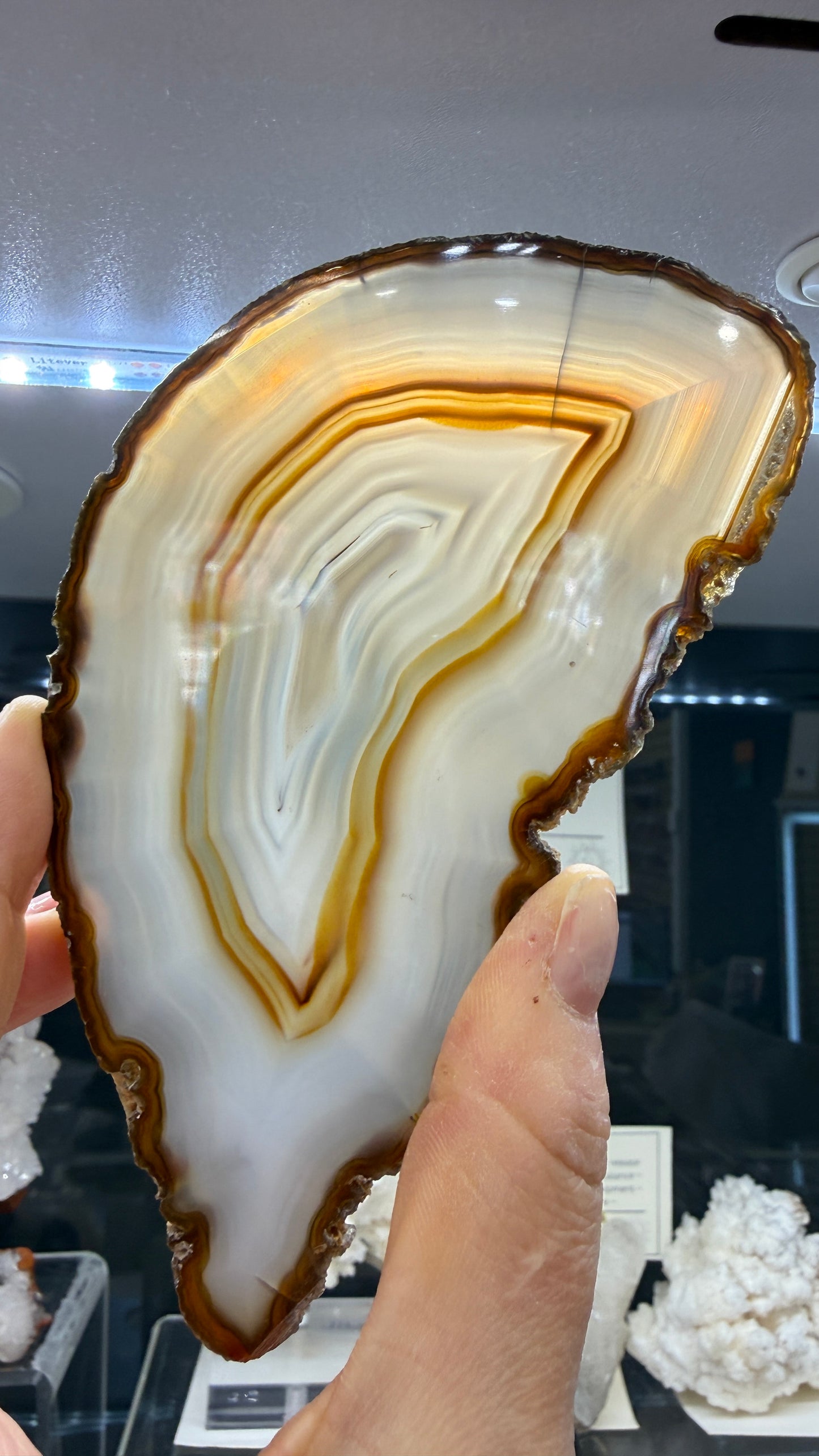 Agate Slice- Brazil