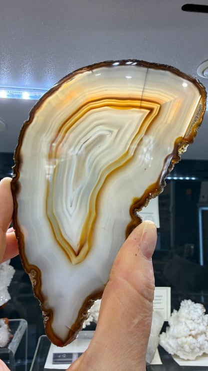 Agate Slice- Brazil