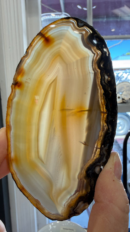 Agate Slice- Brazil