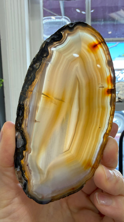 Agate Slice- Brazil