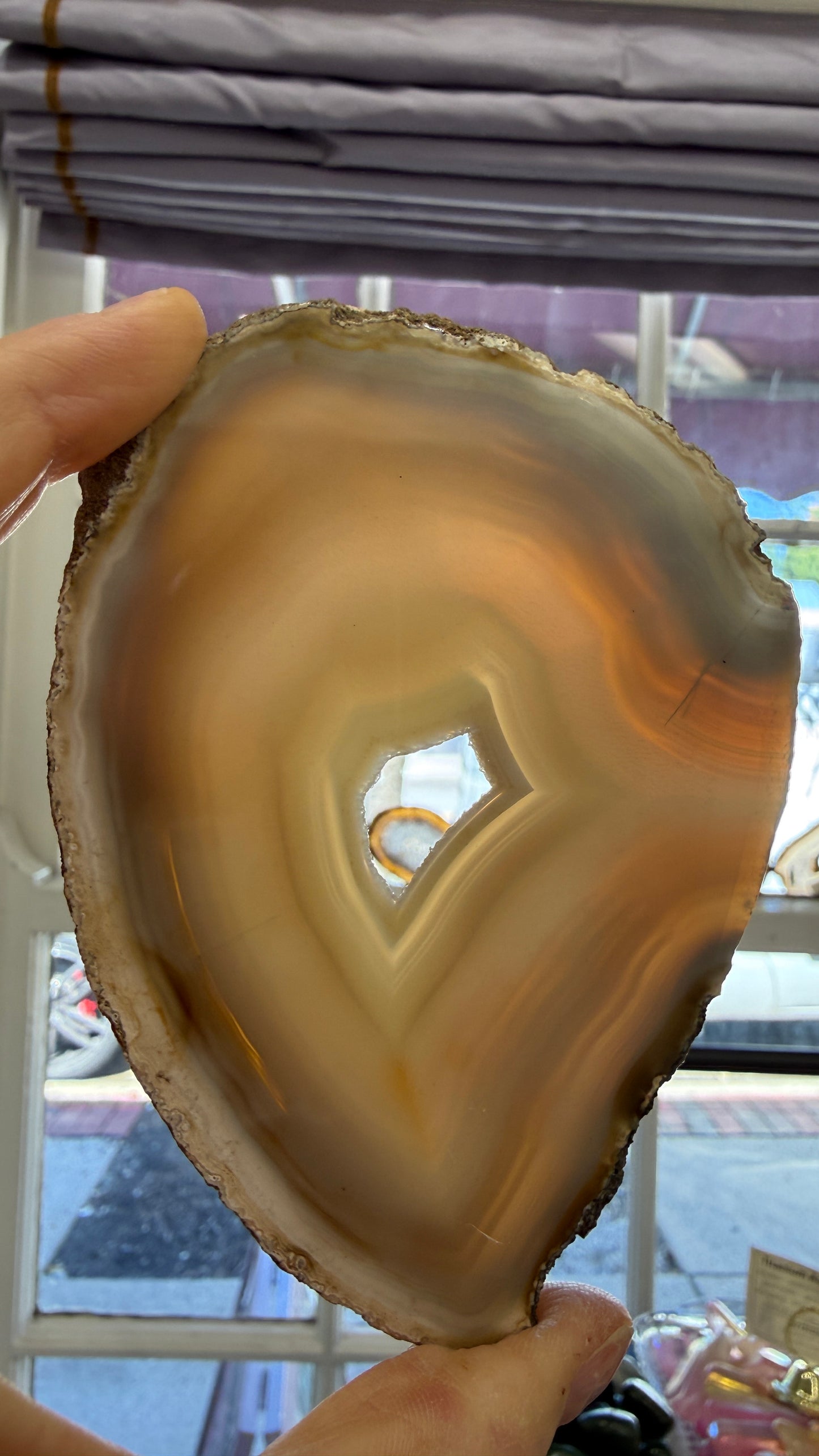 Agate Slice- Brazil