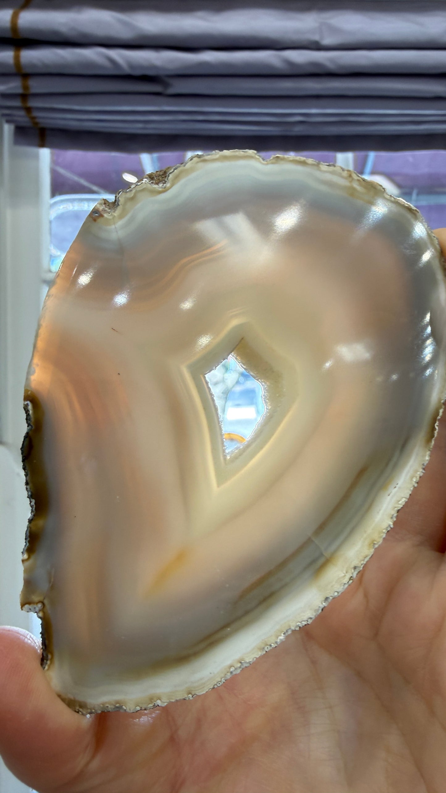 Agate Slice- Brazil