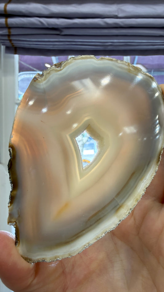 Agate Slice- Brazil