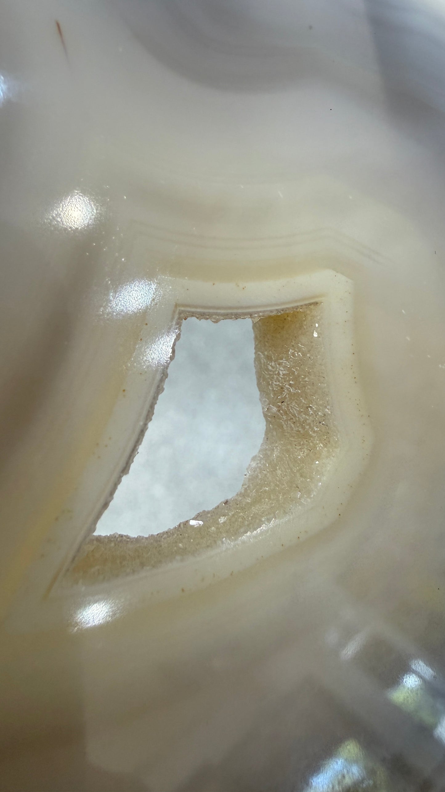 Agate Slice- Brazil