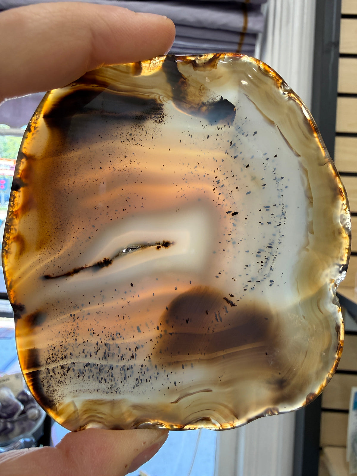 Agate Slice- Brazil