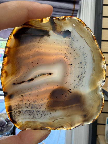 Agate Slice- Brazil