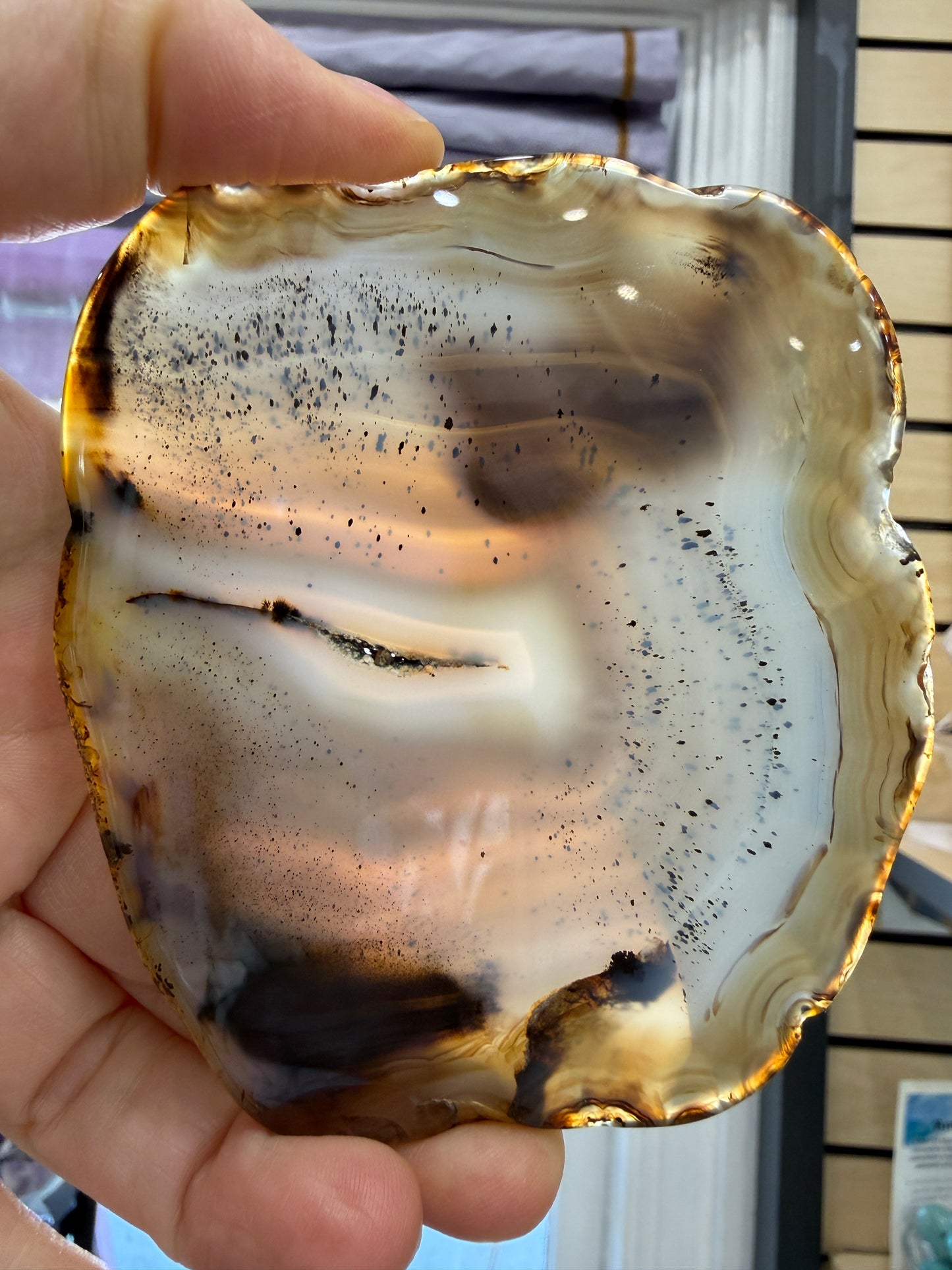 Agate Slice- Brazil