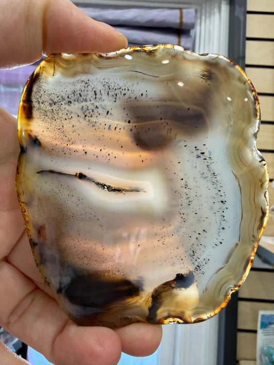 Agate Slice- Brazil